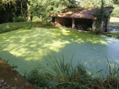 Lavoir