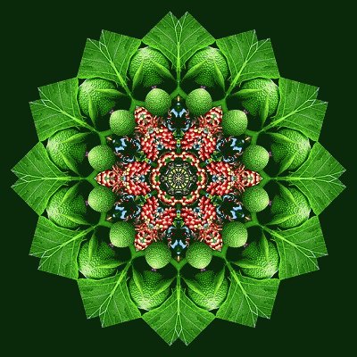 mandala