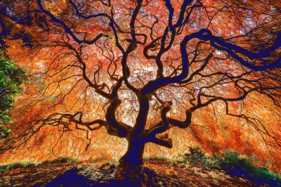 The tree jigsaw puzzle