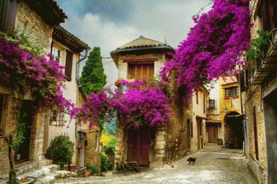 provence jigsaw puzzle