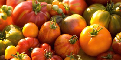 פאזל של tomates