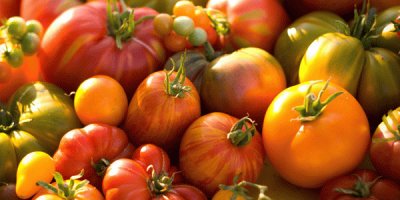 tomates jigsaw puzzle