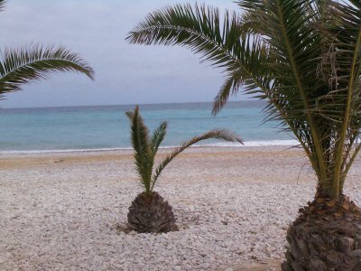 Playa de Alicante jigsaw puzzle