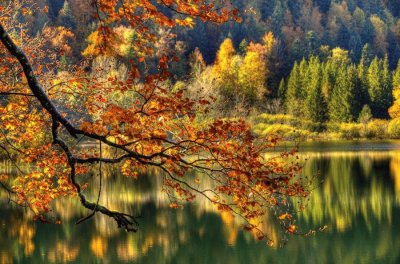 paisagens jigsaw puzzle