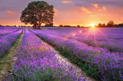 Natureza