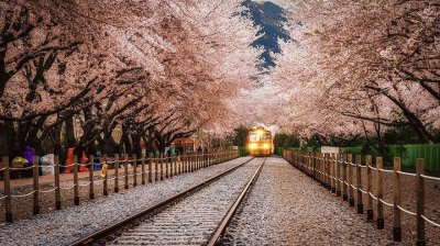 tunel rosa jigsaw puzzle