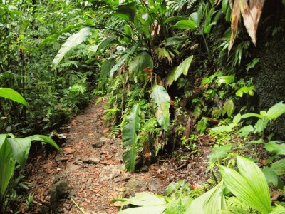 Cerca de Pont CassÃ©. Isla Dominica
