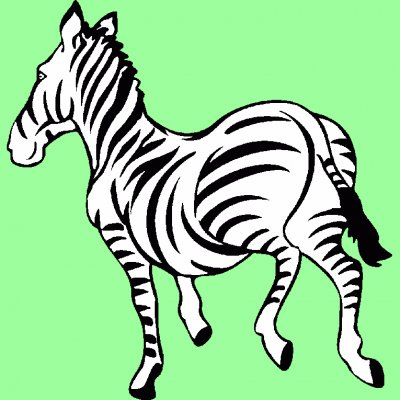 zebra