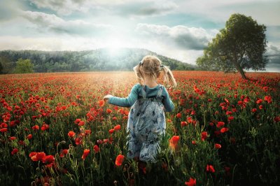 Girl in Field jigsaw puzzle