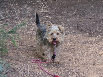 Sally en el campo