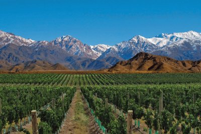 Mendoza- Argentina jigsaw puzzle