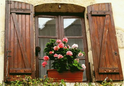 ventana con flores