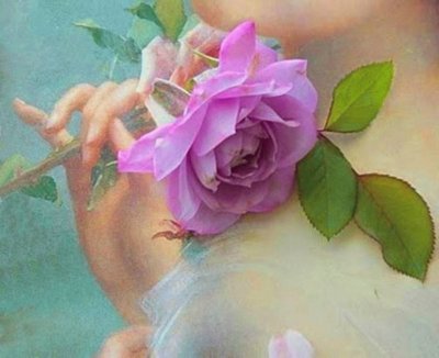 rosa