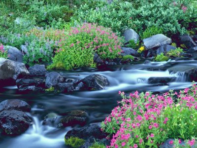 Landschaft jigsaw puzzle