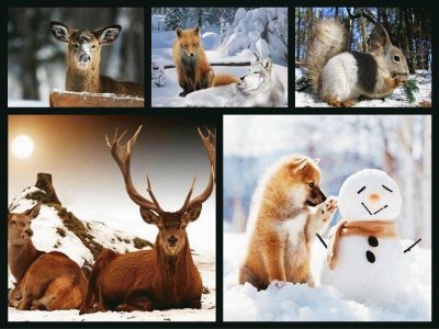 Winterbild jigsaw puzzle