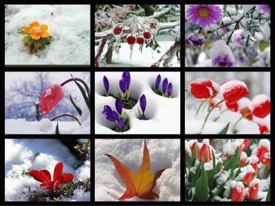 Winterbild