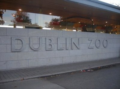 zoo di dublino