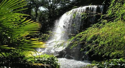 פאזל של iveagh gardens