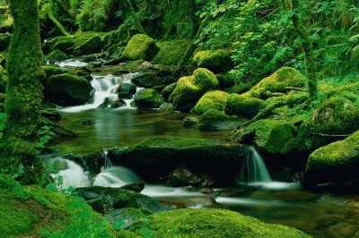 פאזל של torc waterfall