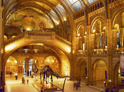 natural history museum jigsaw puzzle