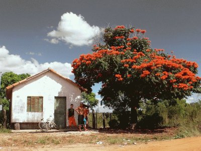 פאזל של Vida Rural