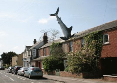 headington shark jigsaw puzzle