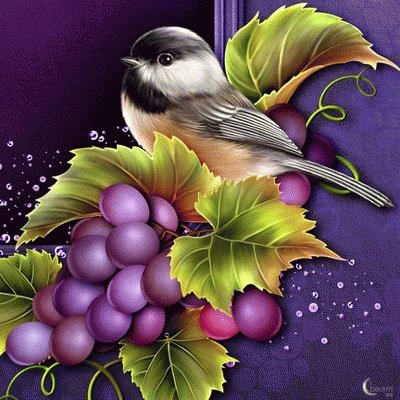 Barnali Art