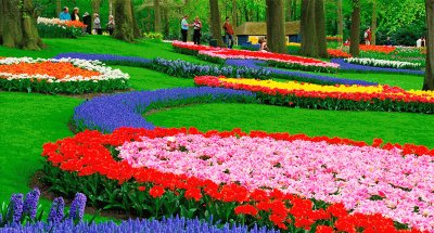פאזל של paisaje color floress