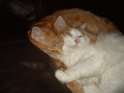 tiny and misty,   hard at work
