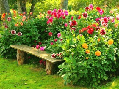 Blumen