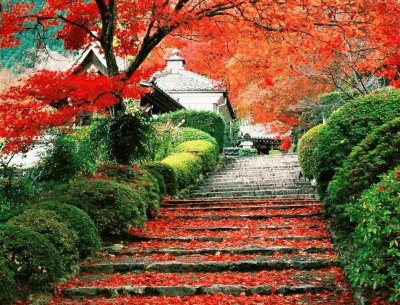 autumn-114