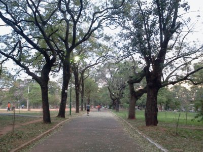 Parque Carlos A Lopez