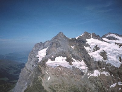 rosenhorn