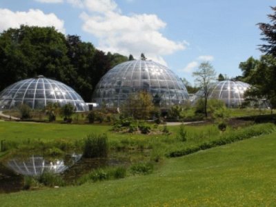 פאזל של botanical garden