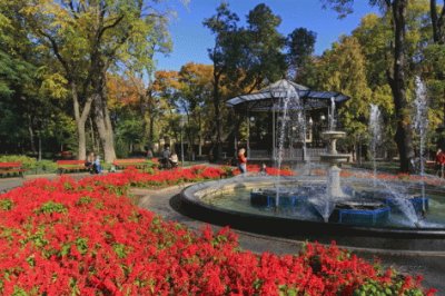 פאזל של city garden