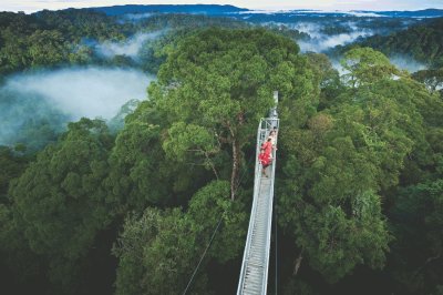 פאזל של ulu temburong