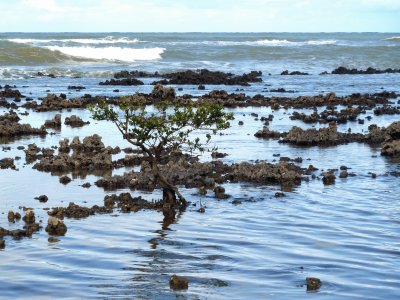 Mar de Manguinhos - Serra - ES