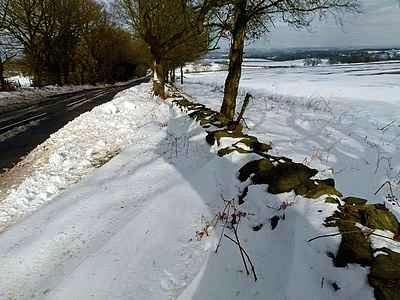 Whitwick