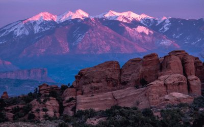 purple mountain