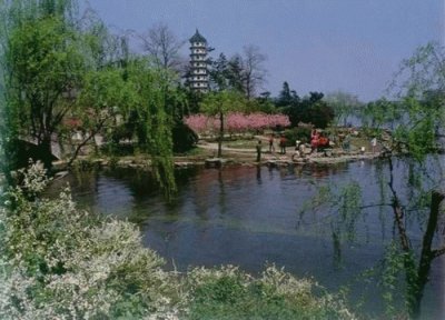 xuanwu lake jigsaw puzzle