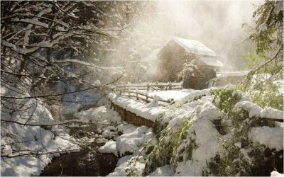 winter-116