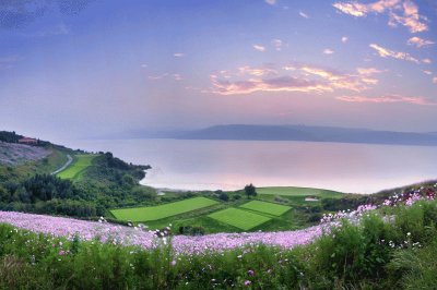 פאזל של yangzonghai lake