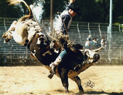 rodeo jigsaw puzzle