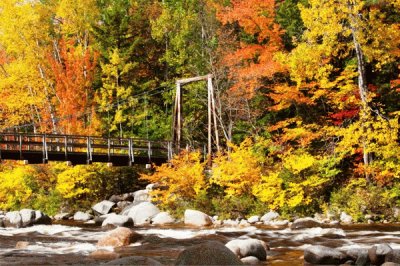 autumn-118