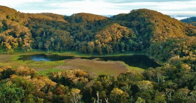 venado lake jigsaw puzzle