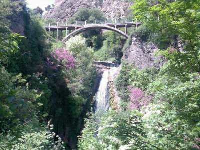 פאזל של botanical garden