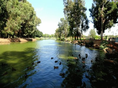 פאזל של park hayarkon