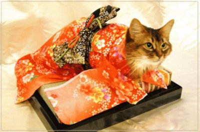 פאזל של kimono