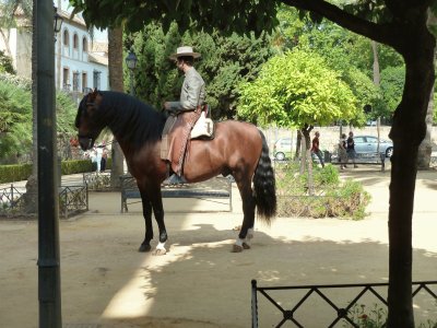 פאזל של Cordoba, Spain