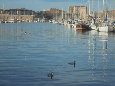 Marseille